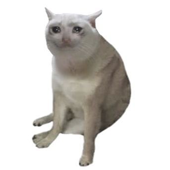 Cash Cat logo